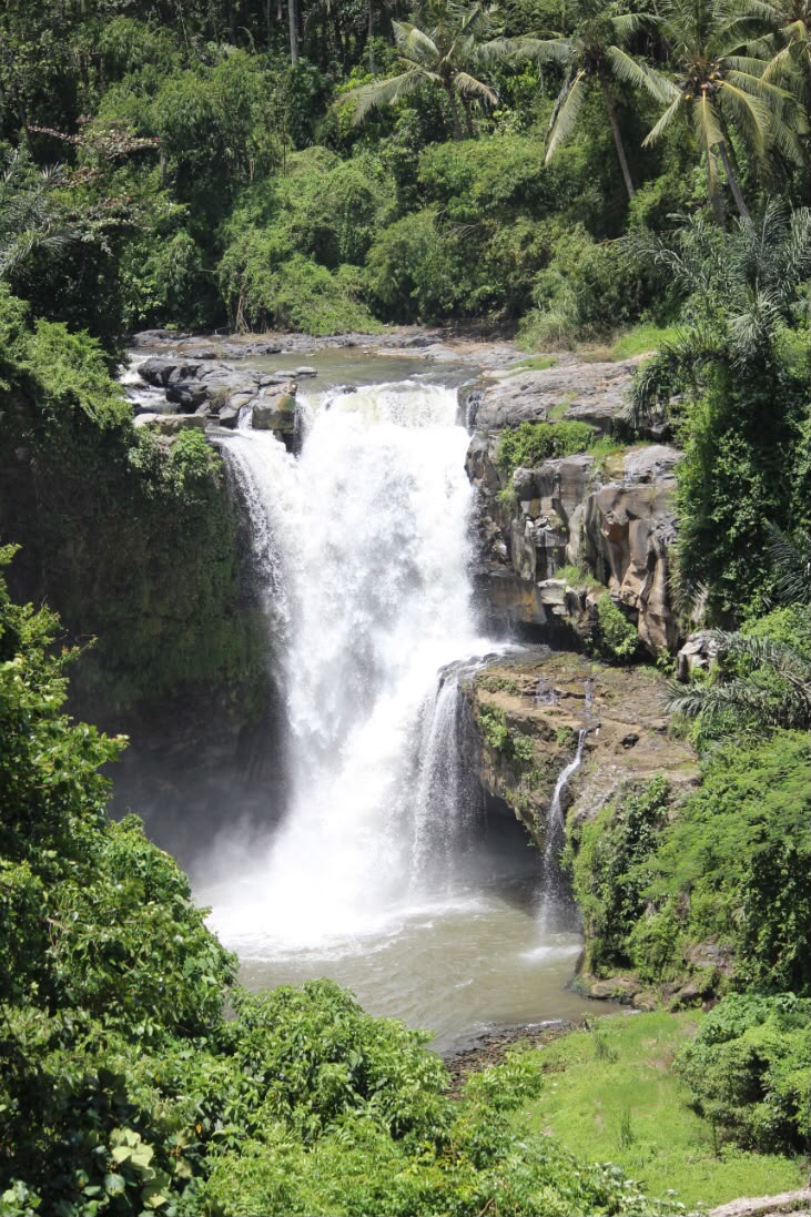 Waterfall trips in Bali